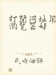 打开网址用什么浏览器好