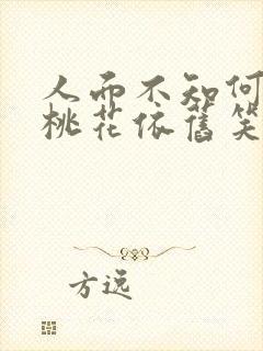 人面不知何处去桃花依旧笑春风的意思