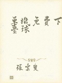 单机免费下载打台球