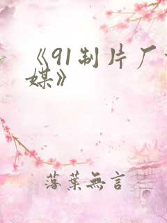 《91制片厂传媒》