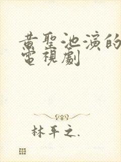 黄圣池演的哪些电视剧