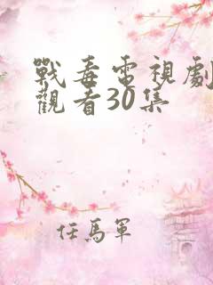 战毒电视剧免费观看30集