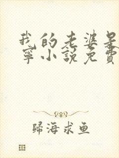 我的老婆是李秀宁小说免费阅读