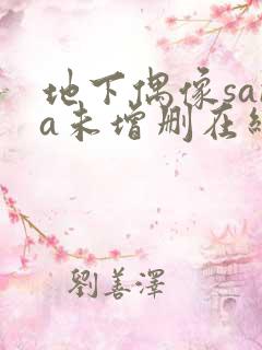 地下偶像sana未增删在线观看