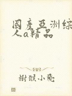 国产亚洲综合成人a精品