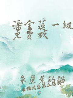 潘金莲一级淫片免费放