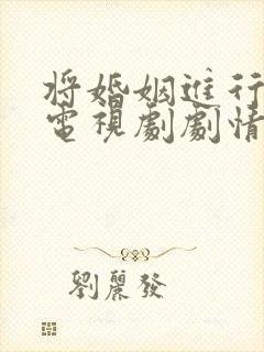 将婚姻进行到底电视剧剧情介绍