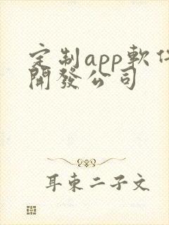 定制app软件开发公司