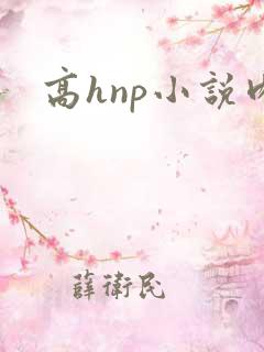 高hnp小说肉