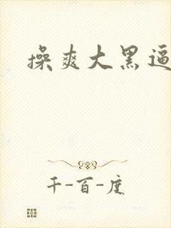 操爽大黑逼熟女