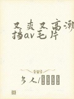 又爽又高潮无遮挡av毛片