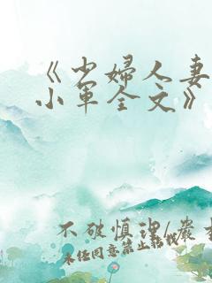 《少妇人妻诗雨小军全文》
