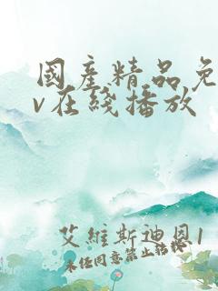 国产精品免费av在线播放