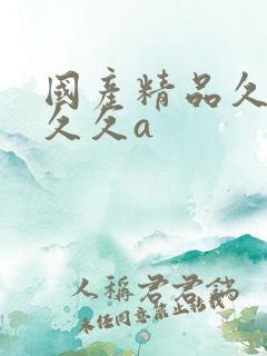 国产精品久久久久久a