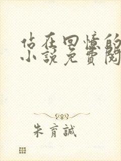 站在回忆的尽头小说免费阅读