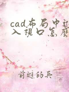 cad布局中进入视口怎么出来