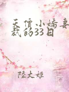 天价小娇妻 总裁的33日