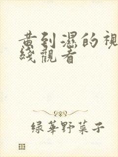 黄到湿的视频在线观看