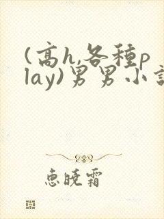 (高h,各种play)男男小说