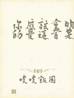 你应该会明白我的爱这首是什么歌