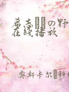 希志あいの野外在线播放