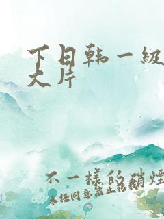 下日韩一级特黄大片