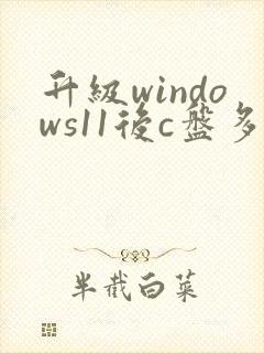 升级windows11后c盘多个windows.old文件夹