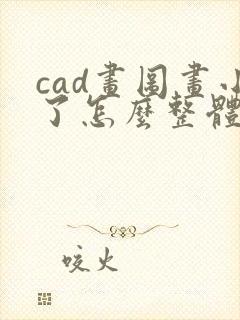 cad画图画小了怎么整体变大