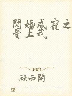 闪婚成宠之大佬爱上我