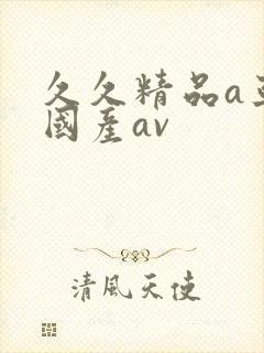 久久精品a亚洲国产av