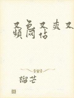 又色又爽又黄视频网站