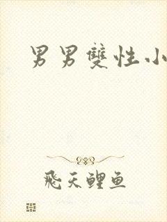 男男双性小说h