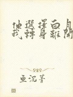 他选择白月光,我转身离开短剧