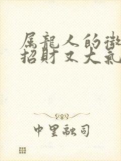 属龙人的微信名招财又大气的