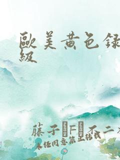 欧美黄色录像一级