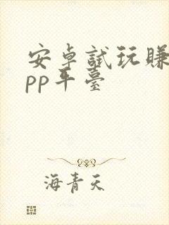 安卓试玩赚钱app平台