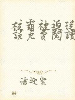 校霸被迫从良小说免费阅读