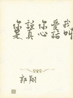 你说你爱我是不是真心话叫啥歌名