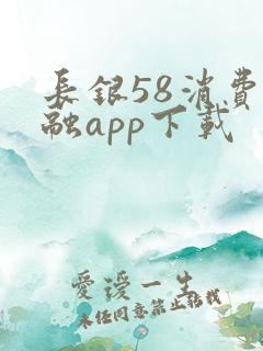 长银58消费金融app下载