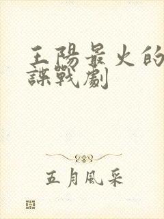 王阳最火的5部谍战剧