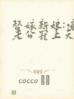 替嫁新娘:亿万老公宠上天琉璃雪雪