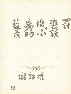 蓝忘机惩罚魏无羡的小说