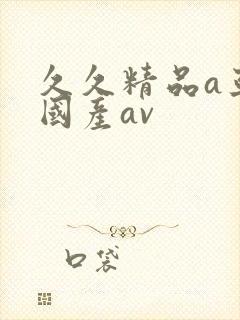 久久精品a亚洲国产av