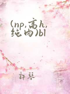 (np,高h,纯肉)bl