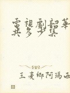 电视剧韶华若锦共多少集