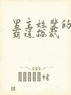 男主姓裴的小说霸道总裁