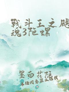 战斗王之飓风战魂3陀螺