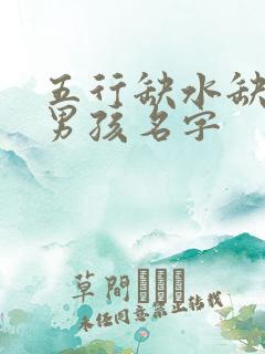 五行缺水缺金的男孩名字