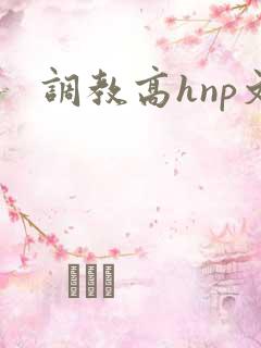 调教高hnp文