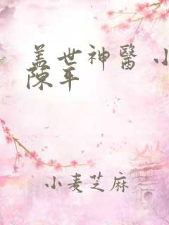 盖世神医 小说陈平